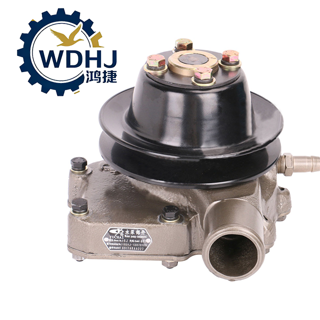 Parti originali della pompa dell'acqua degli accessori del motore Yuchai 6J125 della fabbrica 6QAJ-1307010D utilizzate per l'autobus Yutong o altri autocarri con cassone ribaltabile